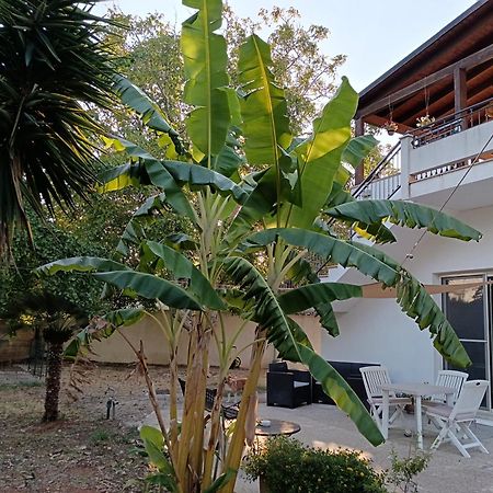 Villa La Casa Del Noce à Ruffano Extérieur photo