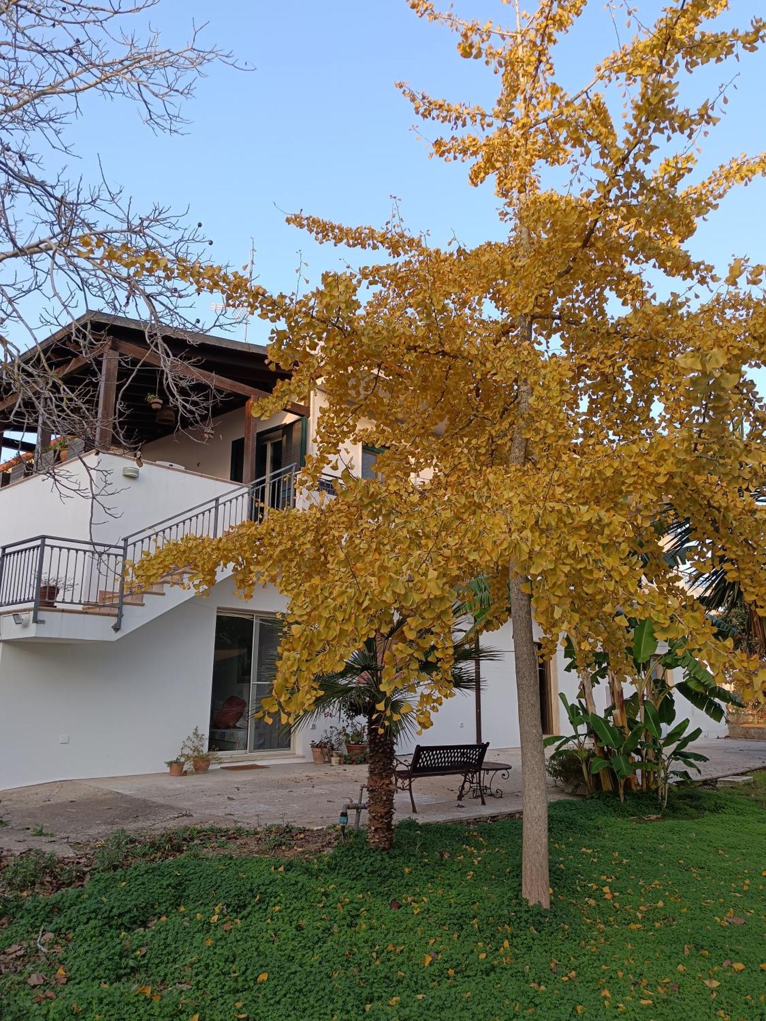 Villa La Casa Del Noce à Ruffano Extérieur photo